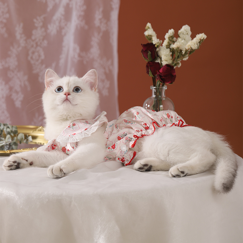 Летняя тонкая одежда для кошек, юбка для домашних животных, котенок, рэгдолл, британская короткошерстная, летний шерстяной жилет с защитой от падения