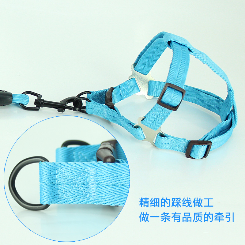 Teddy Small Dog Strap Pet Supplies Dog Chain