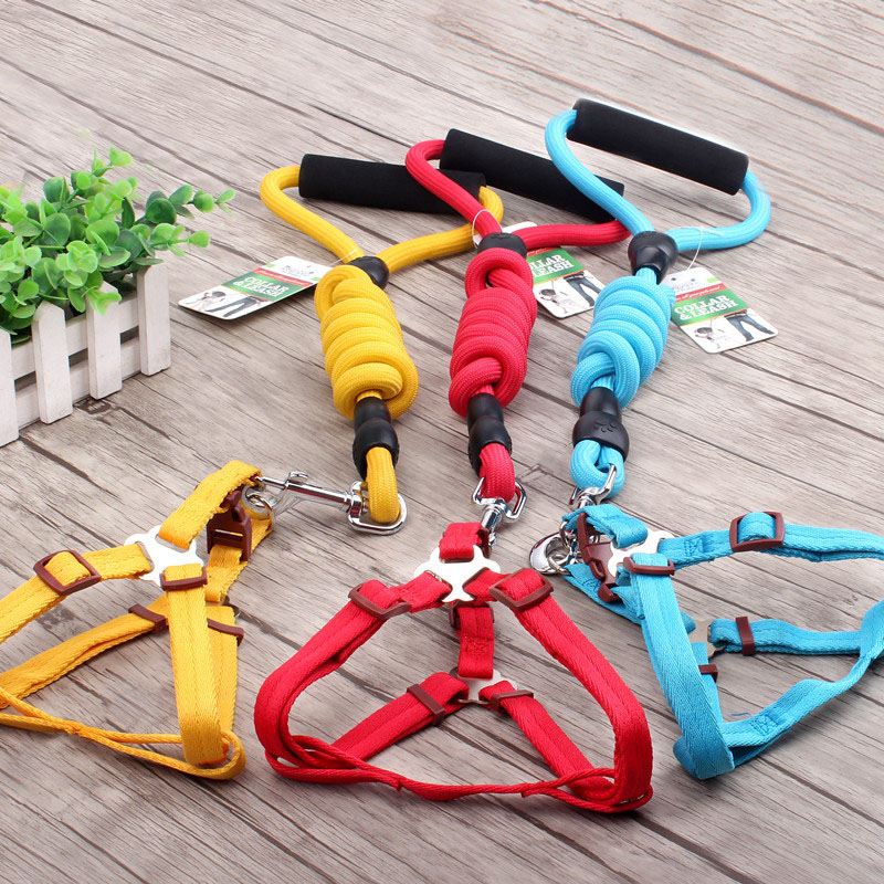 Teddy Small Dog Strap Pet Supplies Dog Chain