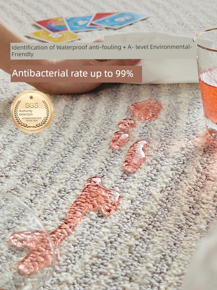 Really Waterproof Antifouling Carpet Living Room 2025 New Arrival Cream Wind Sofa Cover Bedroom Disposable Erasable Accessible Luxury Fancy