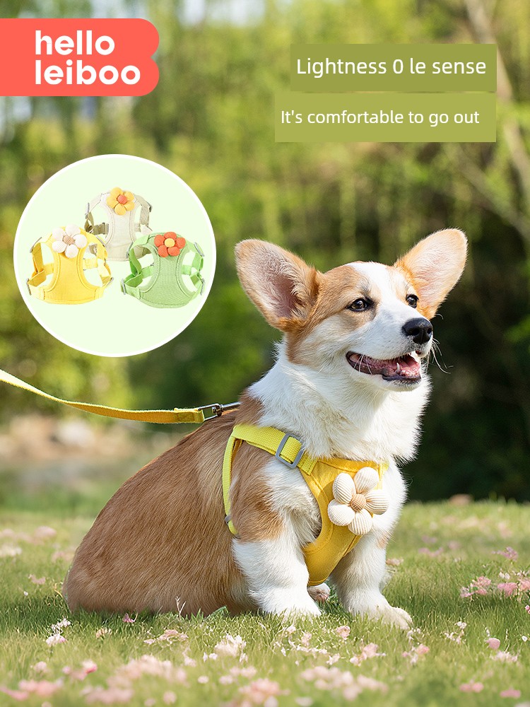 Vest Corgi Teddy Bichon Puppy Hand Holding Rope