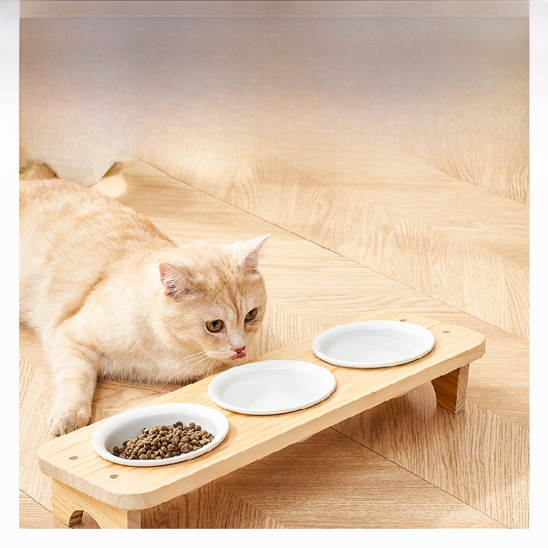 Cat Bowl Ceramic Cat Food Holder Pet Bowl Drinking Bowl Food Bowl Cat Rice Bowl Dog Bowl Not Easy to Knock over Neck Protection