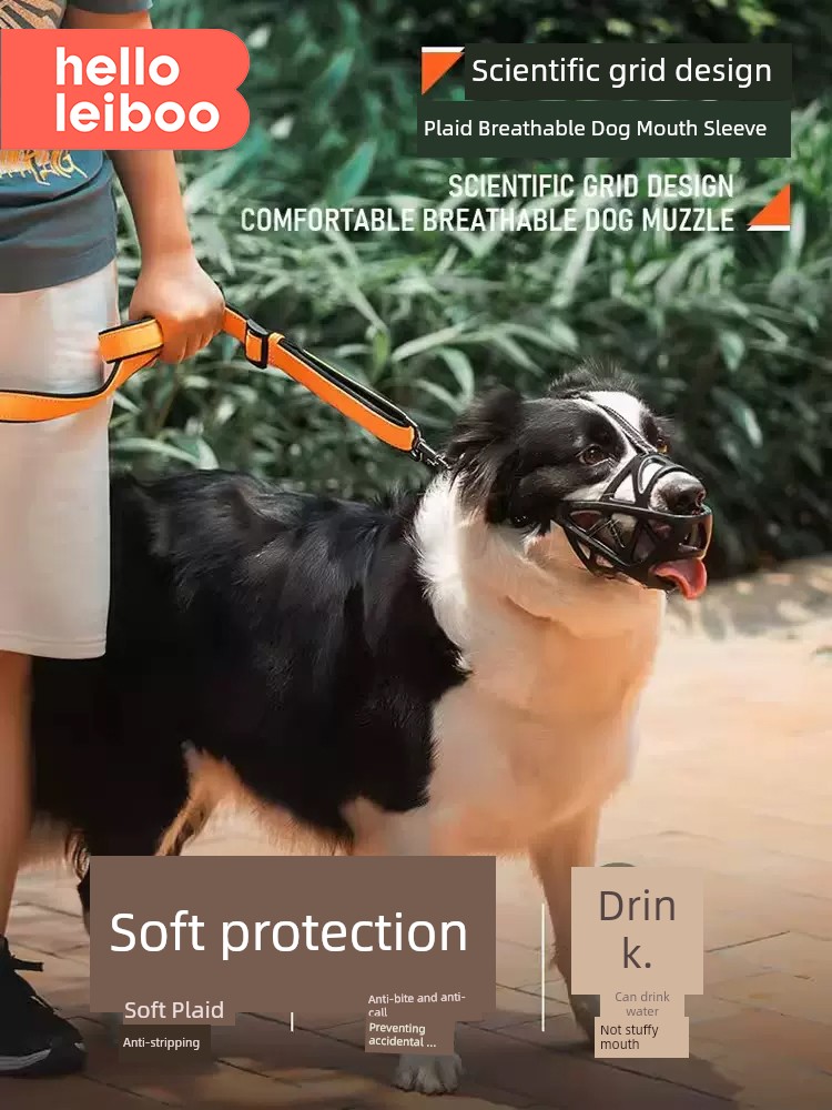 Anti-Bark Medium Corgi Golden Retriever/Border Collie Water. Drinking Dog