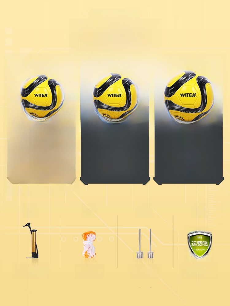 Witess Junior High School Entrance Examination Professional Standard Football