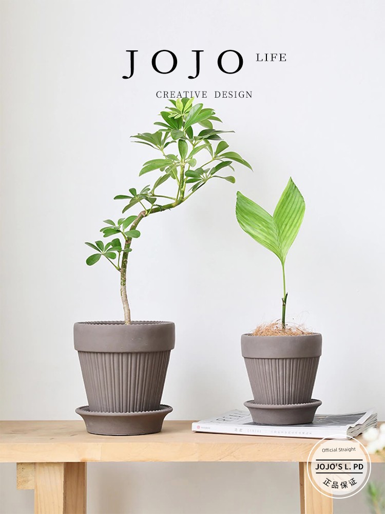 Jojo's L. Pd. Rear. French Simone Handmade Cement Ceramic Basin Desktop with Tray | Year Later