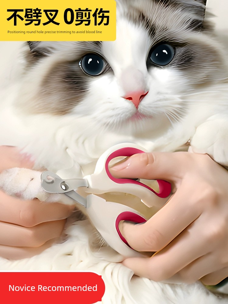 Cat Nail Scissors Pet Special Nail Clippers All Products Cat Paw Scissors Fingernail Clipper Scissors Fantastic Toe Nail Tool