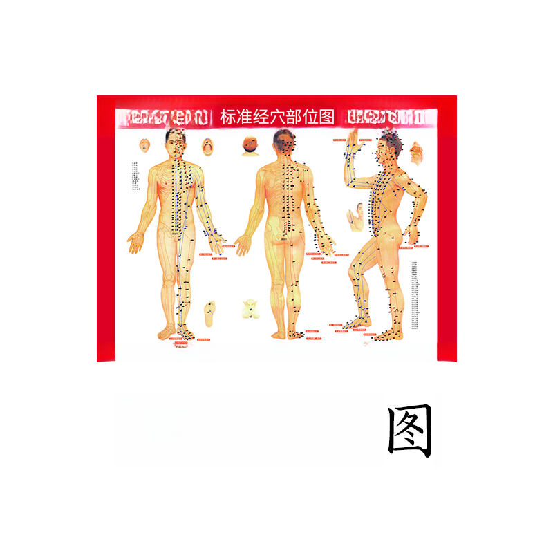 بنطلون تشكيل الجسم عالي الوسط مع انقباض قوي لجزء ا...