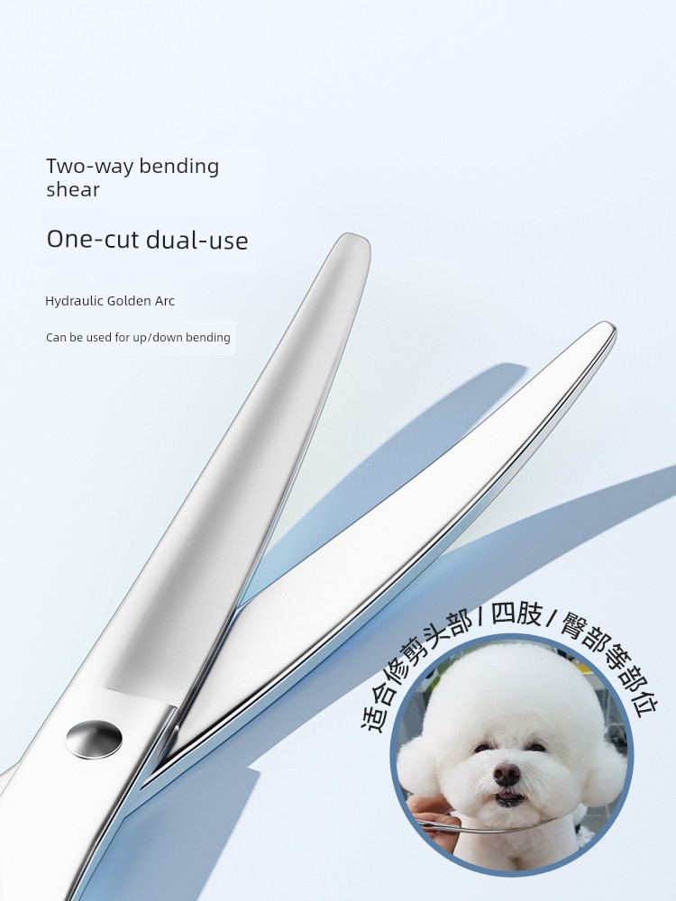 Dedicated Pet Teddy Dog Shearing