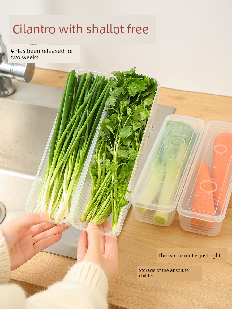 Crisper Food Grade Onion Coriander Whole Ginger and Garlic Noodles Egg Storage Organize Box for Refrigerator