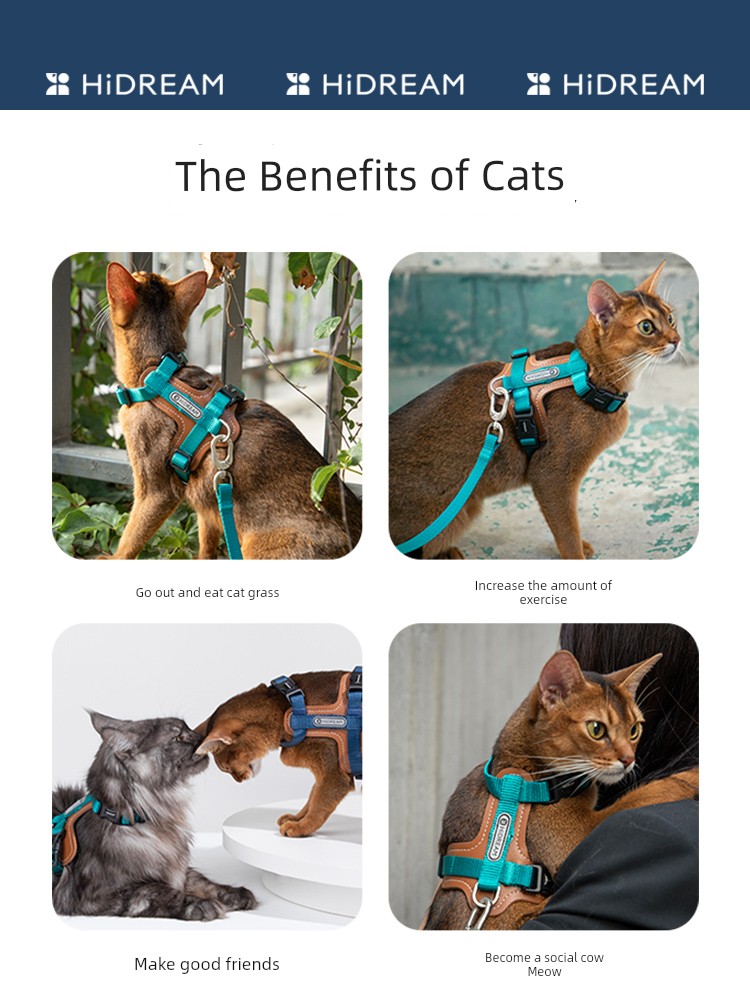 Hidream Кожаная шлейка для кошек