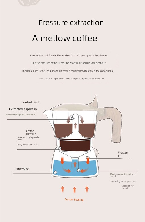 Mongdio Moka Pot - Brew Espresso at Home