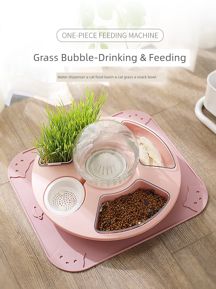 Cat Bowl Dog Water and Food Integrated Bowl Food Basin Anti-Tumble Cat Food Holder Automatic Protection Cervical Spine Large Capacity Pet Supplies