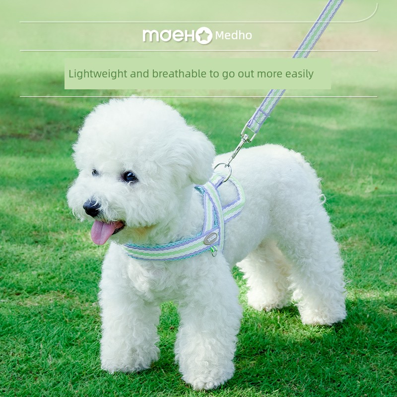 Puppy Dog Hand Holding Rope Vest Style Small Size Dogs Pomeranian/Bichon Frise Teddy Cat Same Style Slip Cat Dog Leash Chest Back Anti-Bite