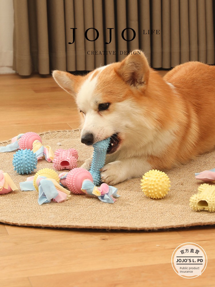 Jojo's L. Pd. Wings. Dog Molar Toy Small and Medium-Sized Dogs Puppy Big Dog Bite-Resistant | Youyi