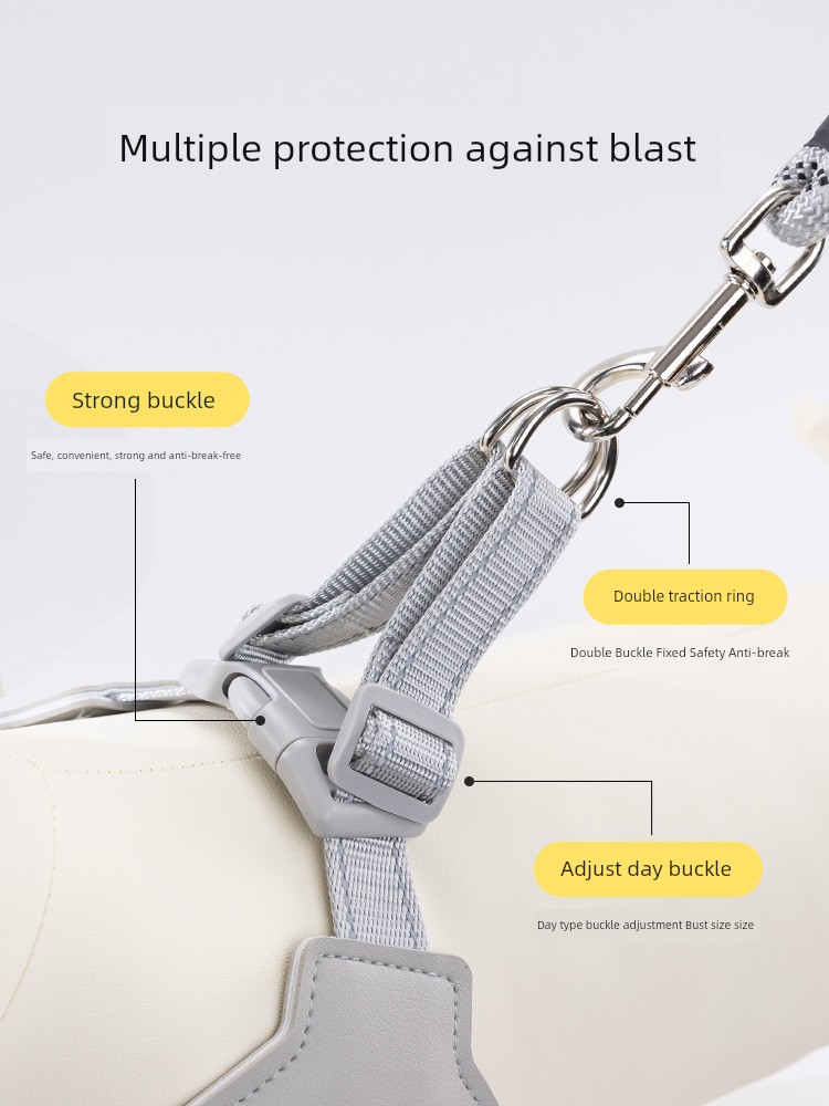 Dog Hand Holding Rope Chest Back Type Dog Leash Walking Dog Small and Medium-Sized Dogs Vest Type Dog Leash Corgi Teddy Pet Strap