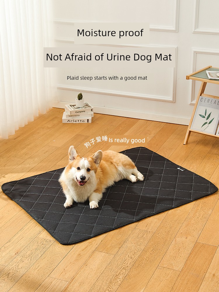 Sleep All Year Round Neutral Anti-Bite Dog Mat