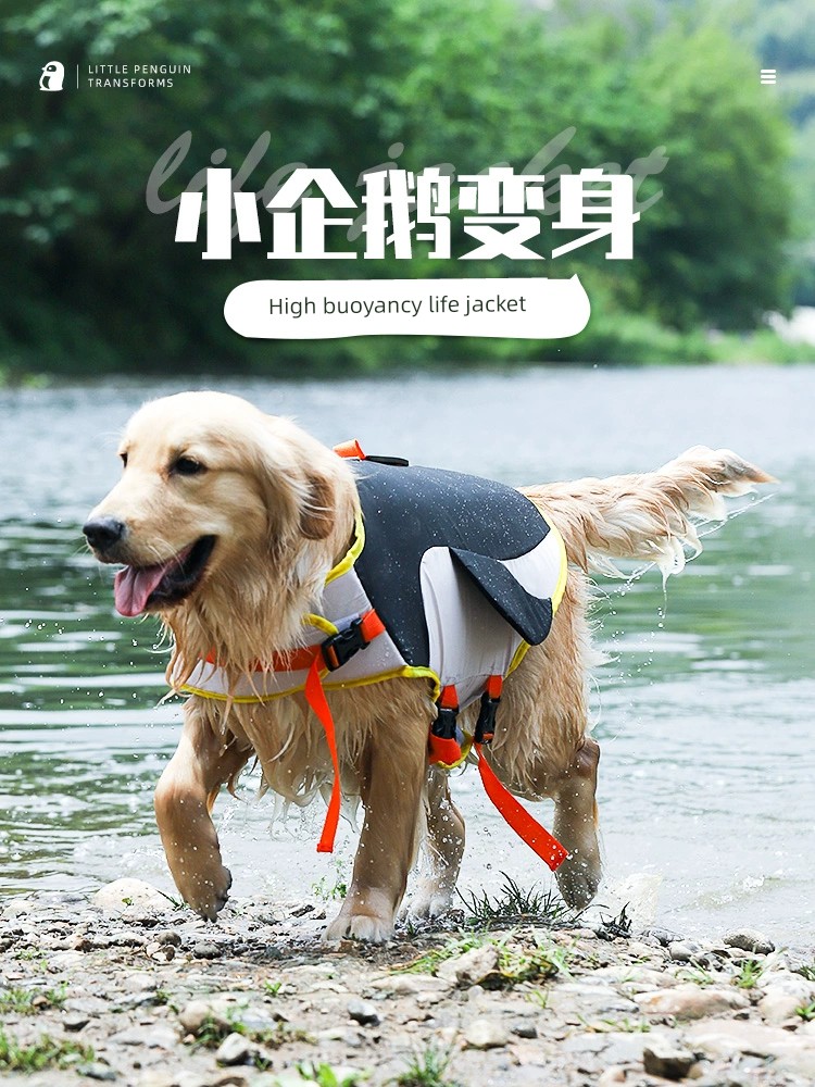 Corgi Labrador Summer Floating Clothes Swim Ring Dog