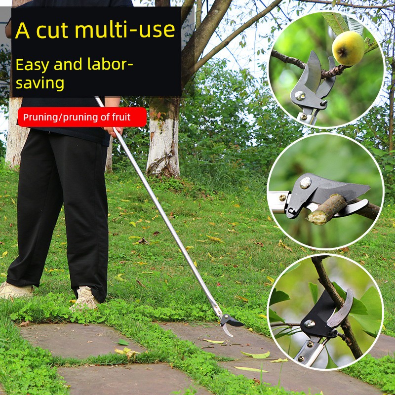Jujiajia Stainless Steel High Branch Shears Pruning Fruit Picking Scissors Long Brush Holder Special Scissors for Tree Trimming Long Fruit Tree Height