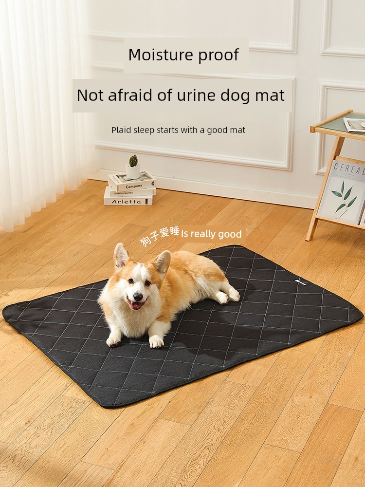All Year Round Neutral Sleep Bite-Resistant Dog Dog Mat