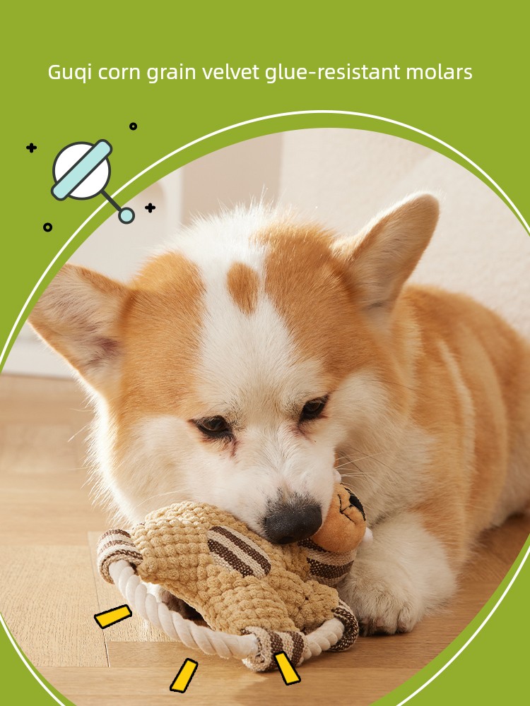 宠物耐咬磨牙玩具，适合各种犬种