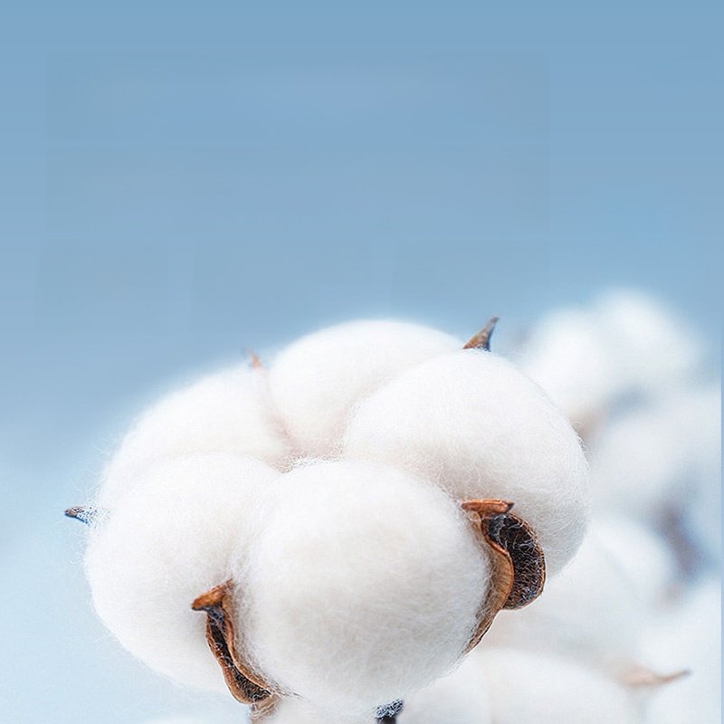 Grace Couple Soft Water-Absorbing Quick-Drying Pure Cotton Towel