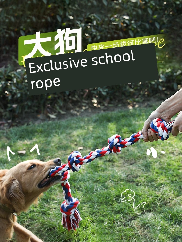 Large Dog Rope Bite-Resistant Interactive Pull Consumption Dog