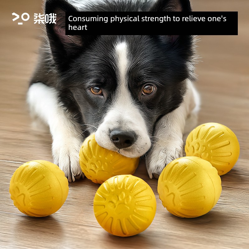 Dog Toy Large Dog Ring Frisbee Border Collie Sound Jelly Power Ring Molar Long Lasting Relieving Stuffy Handy Gadget Pet Toy