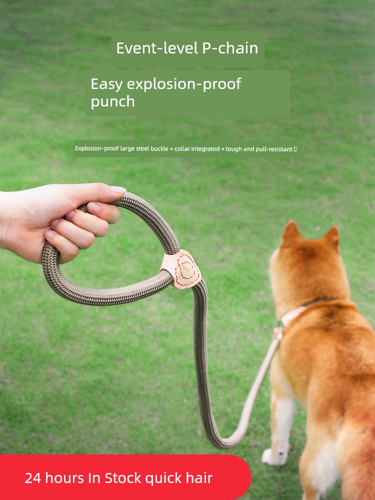 Rope Medium Large Dog Explosion-Proof Dog