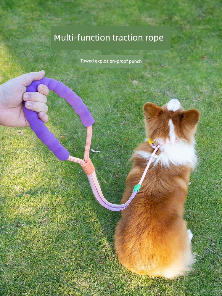 Dog Hand Holding Rope Explosion-Proof P Rope Large Dog Anti Breaking Loose Small and Medium-Sized Dogs P Chain Tie Dog Wiring Sleeve Neck Dog Walking Artifact