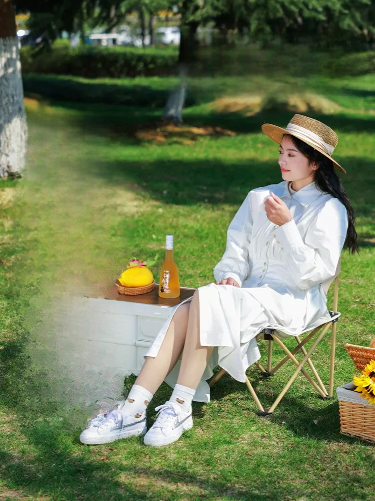 Camping Camp Chair Foldable Art Student Fishing Stool Outdoor