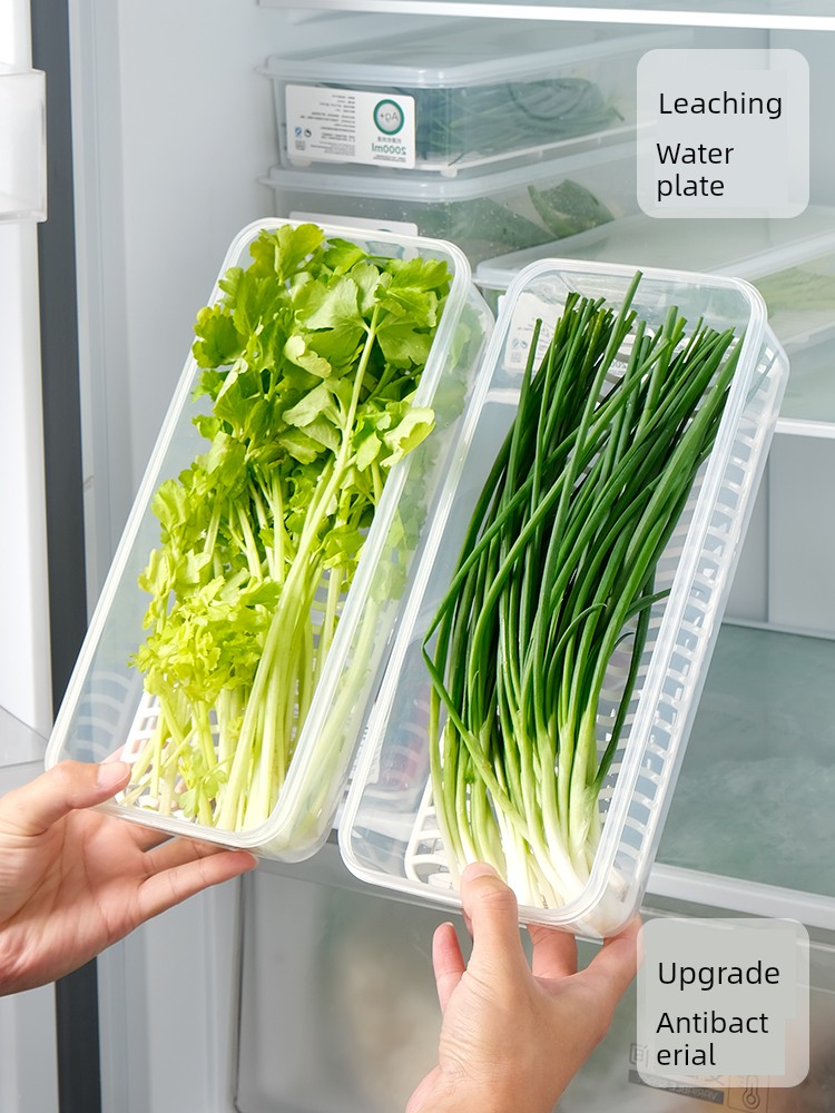 Antibacterial Onion Coriander Dedicated Fresh-Keeping Box Refrigerator Draining Storage Bench Onion Ginger Garlic Food Grade Storage Sealed