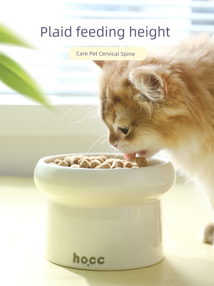 Ceramic Food Basin Large Diameter High Leg Cat Bowl