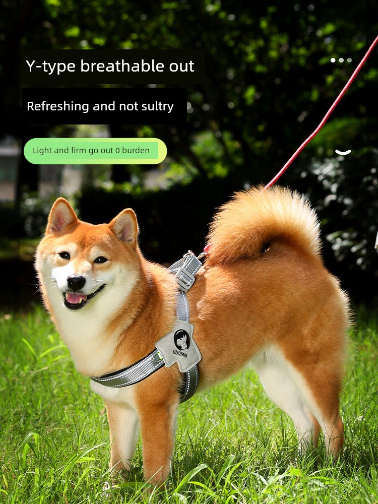 Dog Breast Strap Adjustable Explosion-Proof Hand Holding Rope Small and Medium-Sized Dogs out Handy Gadget Walk the Dog Dog Leash Anti Breaking Loose