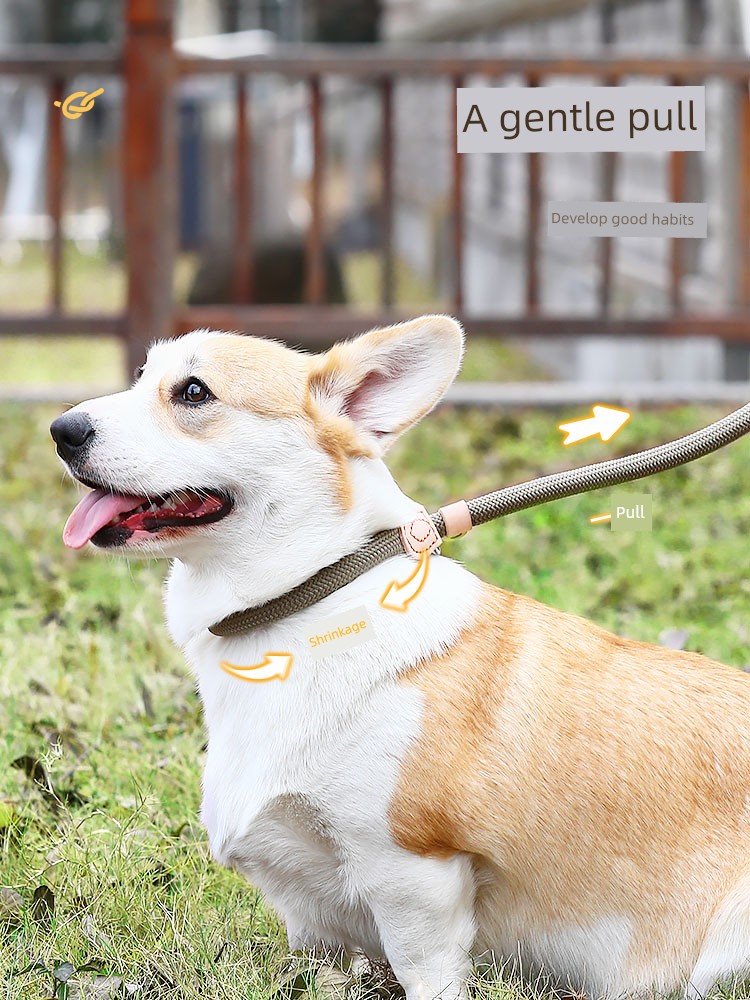 Collar Medium Size Explosion-Proof Corgi Dog Hand Holding Rope
