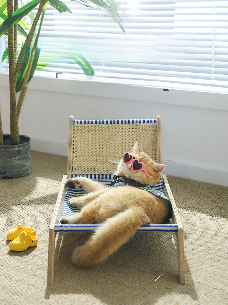 All Year Round Neutral Hammock Couch Summer Cat Nest