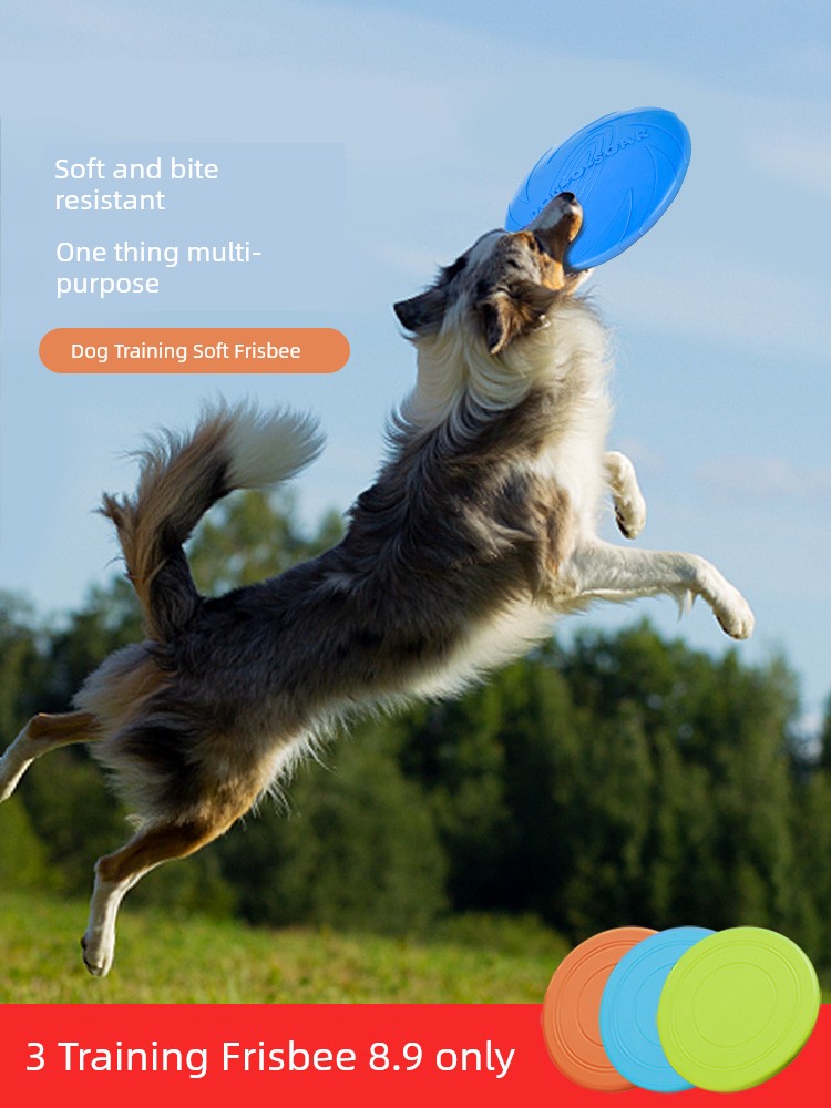 Frisbee Dog Special Border Collie Toy Bite-Resistant Golden Retriever Frisbee