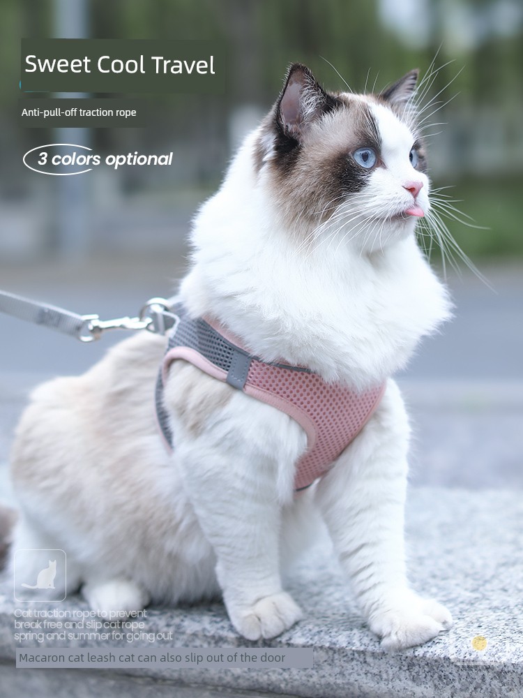 Специальный ремень против побега, нагрудный ремень для кошек