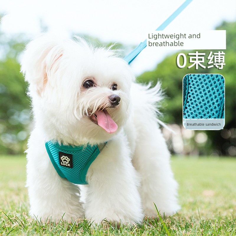 Hippie Dog Foundation Contrast Color Reflective Stripe Traction Chest Back Dog out Anti Breaking Loose Bichon Teddy Small Size Dogs Walking Dog