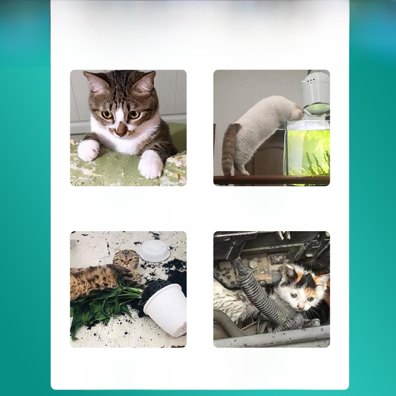 Anti-Dogs and Cats Studs Bed Mess Urine Handy Gadget Anti-Cat Net Crawling Mat Anti-Dogs and Cats Sofa Door Isolation Forbidden Area Thorn