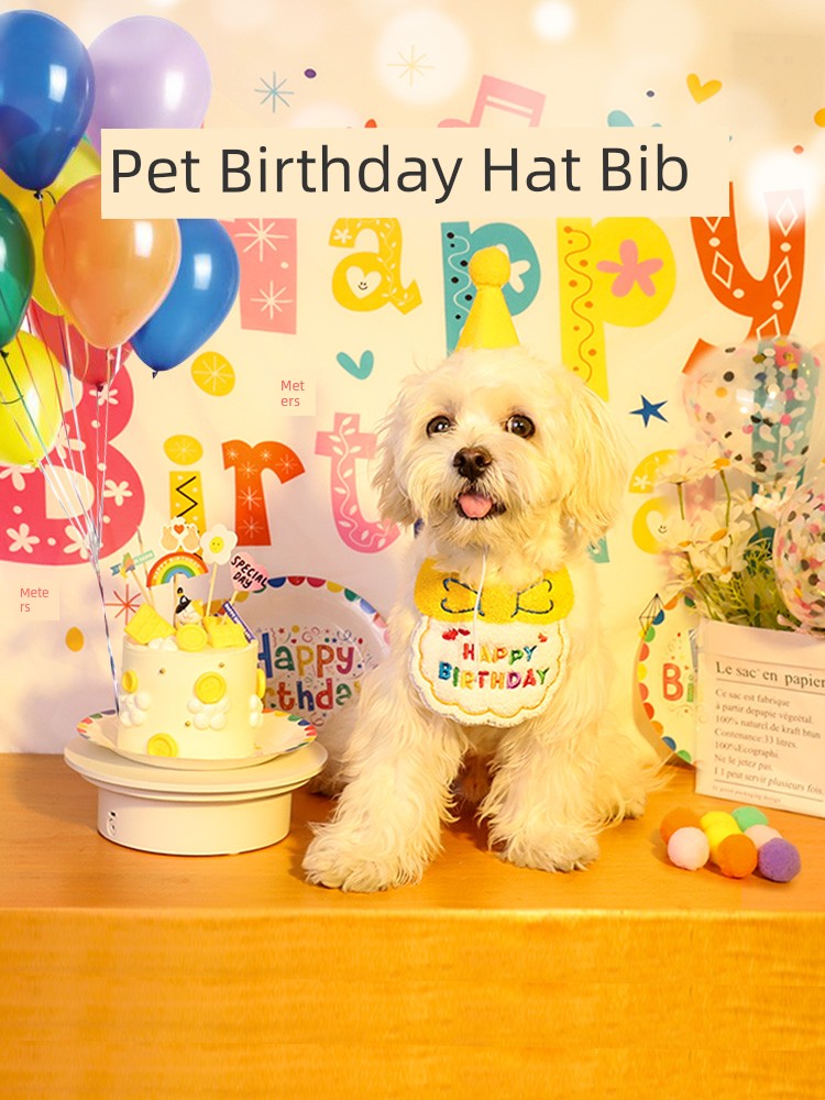Dog Cat Party Birthday Hat Pet Bib Puppy Hat Bichon Saliva Towel Cute Dress up Decoration Headdress