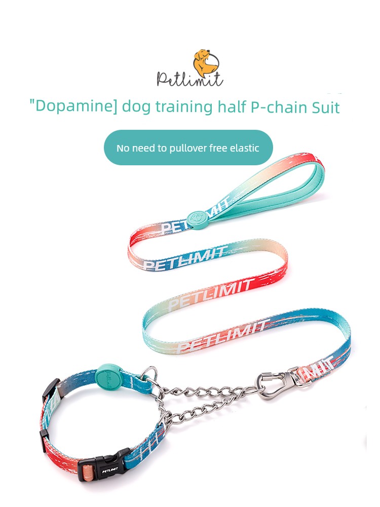 Dog Hand Holding Rope Dog Walking Chain Medium Large Dog P Chain P Rope Collar Collar Golden Retriever Explosion-Proof Pet Dog Leash
