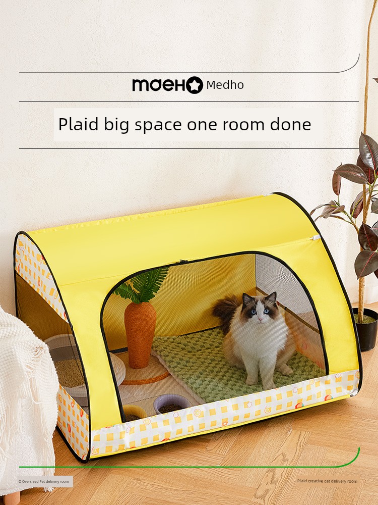 Closed Tent Breeding Cat Delivery Room during Pregnancy