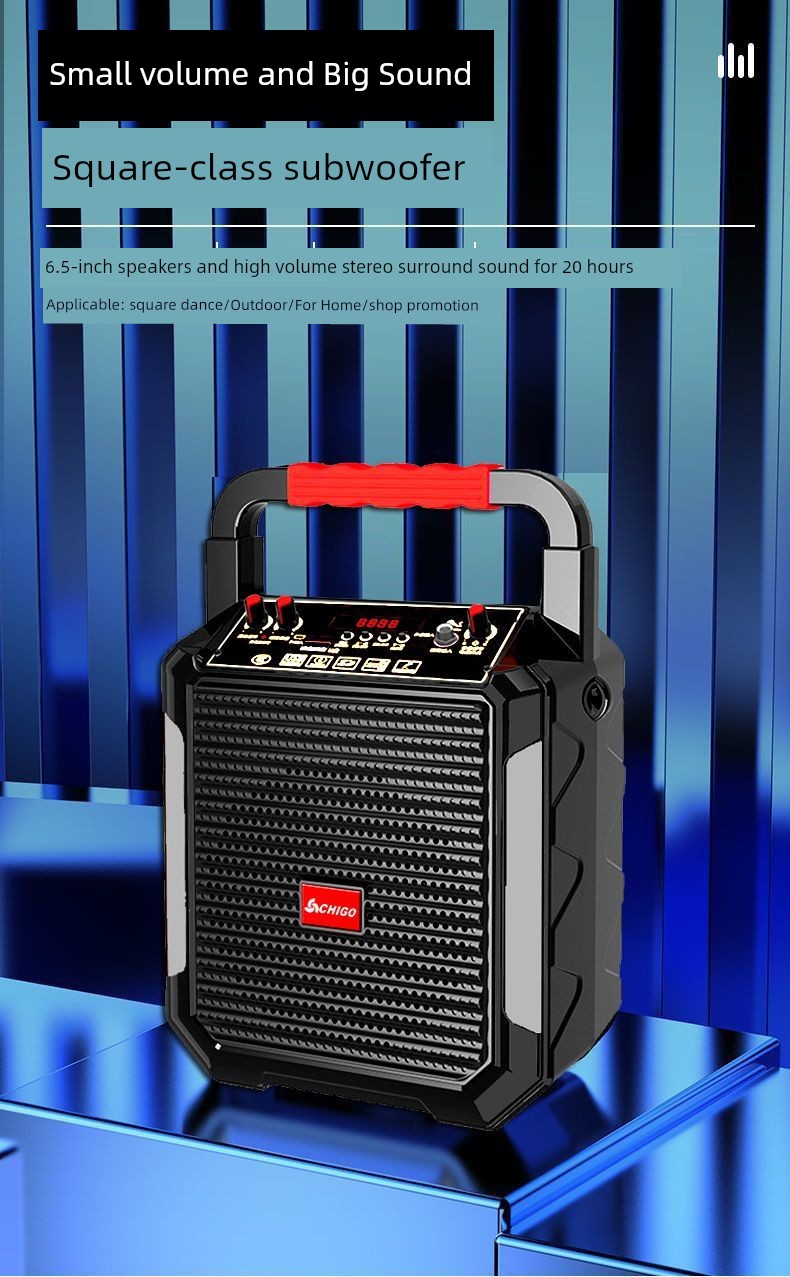Chigo Portable Bluetooth Karaoke Speaker - Extra Bass