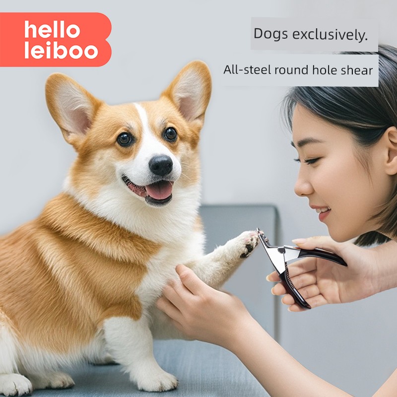 Golden Retriever Corgi and Shiba Inu Special Nail Clippers Handy Gadget Dog