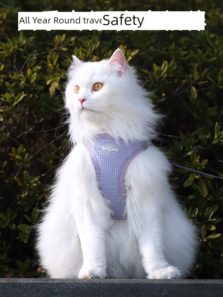 Rope Anti Breaking Loose out Vest-Style Puppy Dog Cat