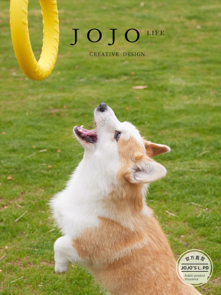 Jojo's L. Pd. Mr. Grocery. Dog Toy Floating with Rope Training Ball Outdoor | Seal