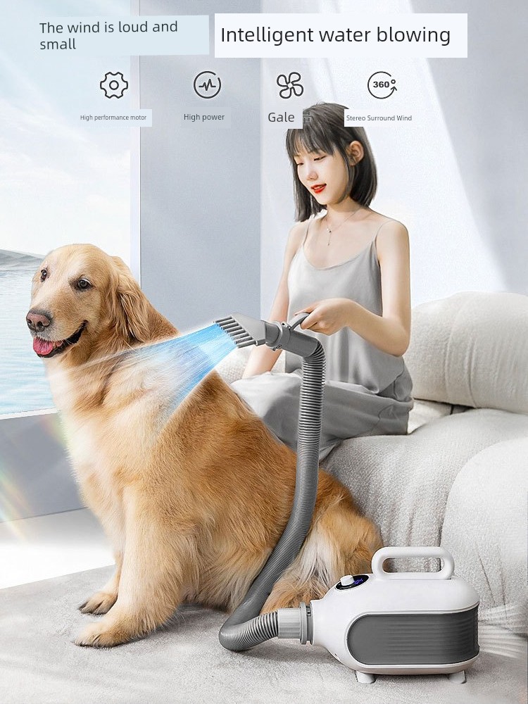 Hippie Dog Pet Water Dispenser High Power For Home Dogs and Cats Hair Dryer Large Dog Dryer Special Hair Blowing Handy Gadget