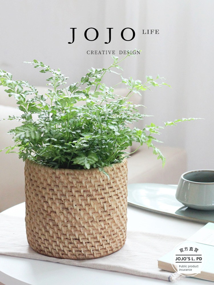 Jojo's L. Pd. Fortune. Idyllic and Creative Individual Cement Flowerpot Imitation Straw Wool Pattern | Beauty