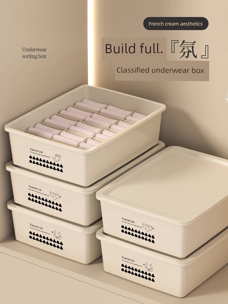 Bra Special Storage Box Multi-Layer Intimates Storage Box
