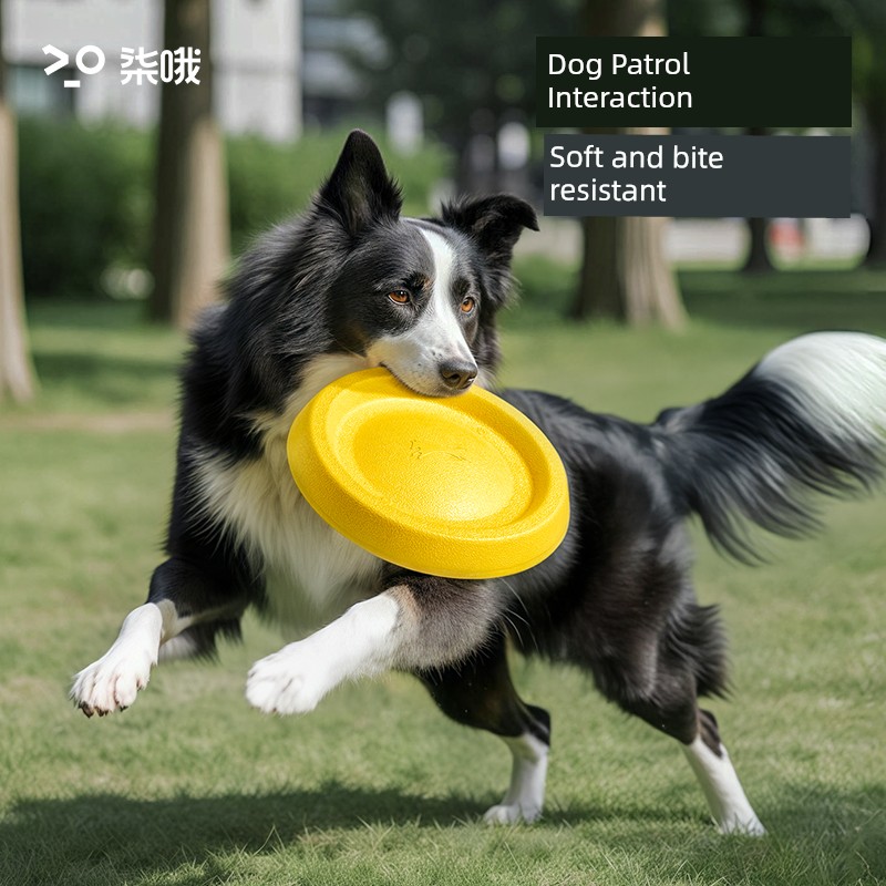 Dog Frisbee Bite-Resistant Border Collie Training Pet Special Large Dog Outdoor Toys Circuit Consumption Physical Strength Relieving Ball